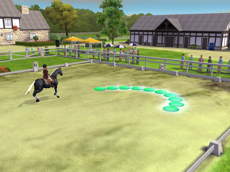 Illustration for article titled My Horse and Me: Riding For Gold Could Drive Me to Violence